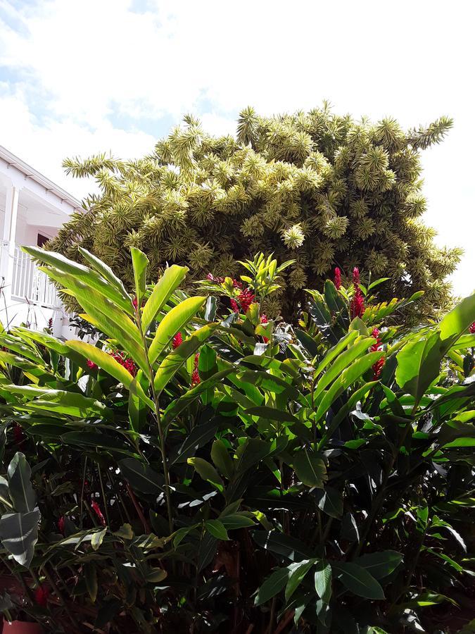 Les Jardins De Valentin Apartamento Le Gosier  Exterior foto