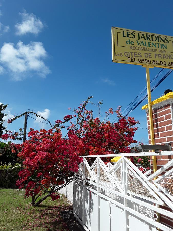 Les Jardins De Valentin Apartamento Le Gosier  Exterior foto